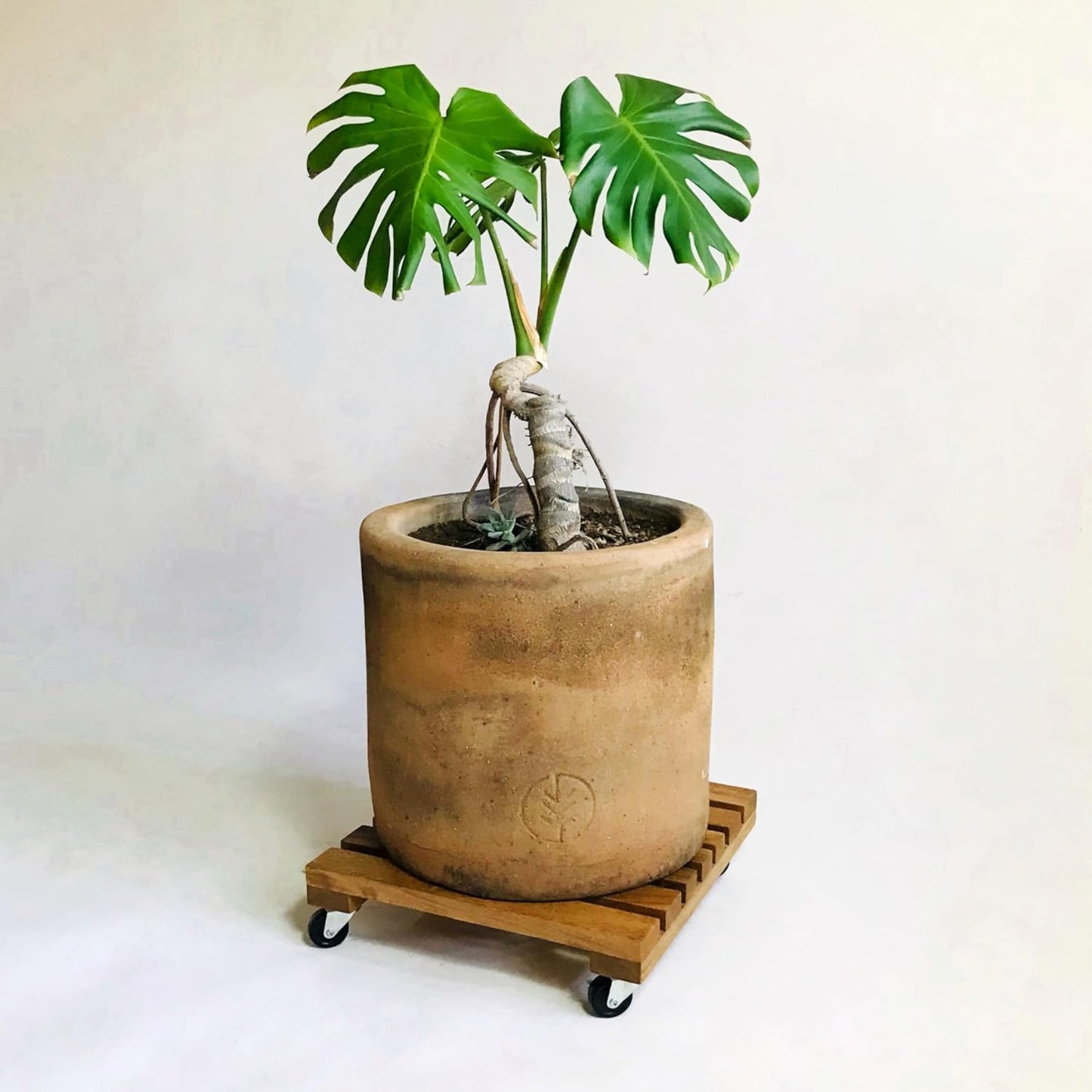 Brossard | Rolling Plant Stand | Natural Finish