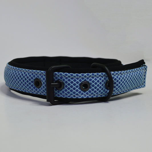 Ibeltmex | Pet Collar Small Size
