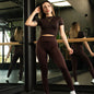 Majo | Mesh Set and Short Sleeve T-Shirt | Brown