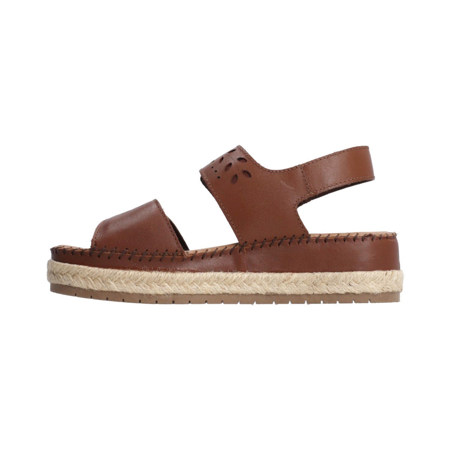 Lobo Solo | 1680 | Pamplona Madrid Honey