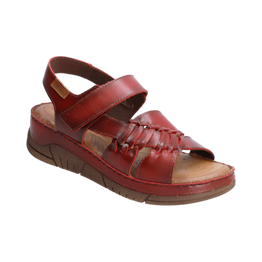 Lobo Solo | 1710 | Zafira Nuvol Red