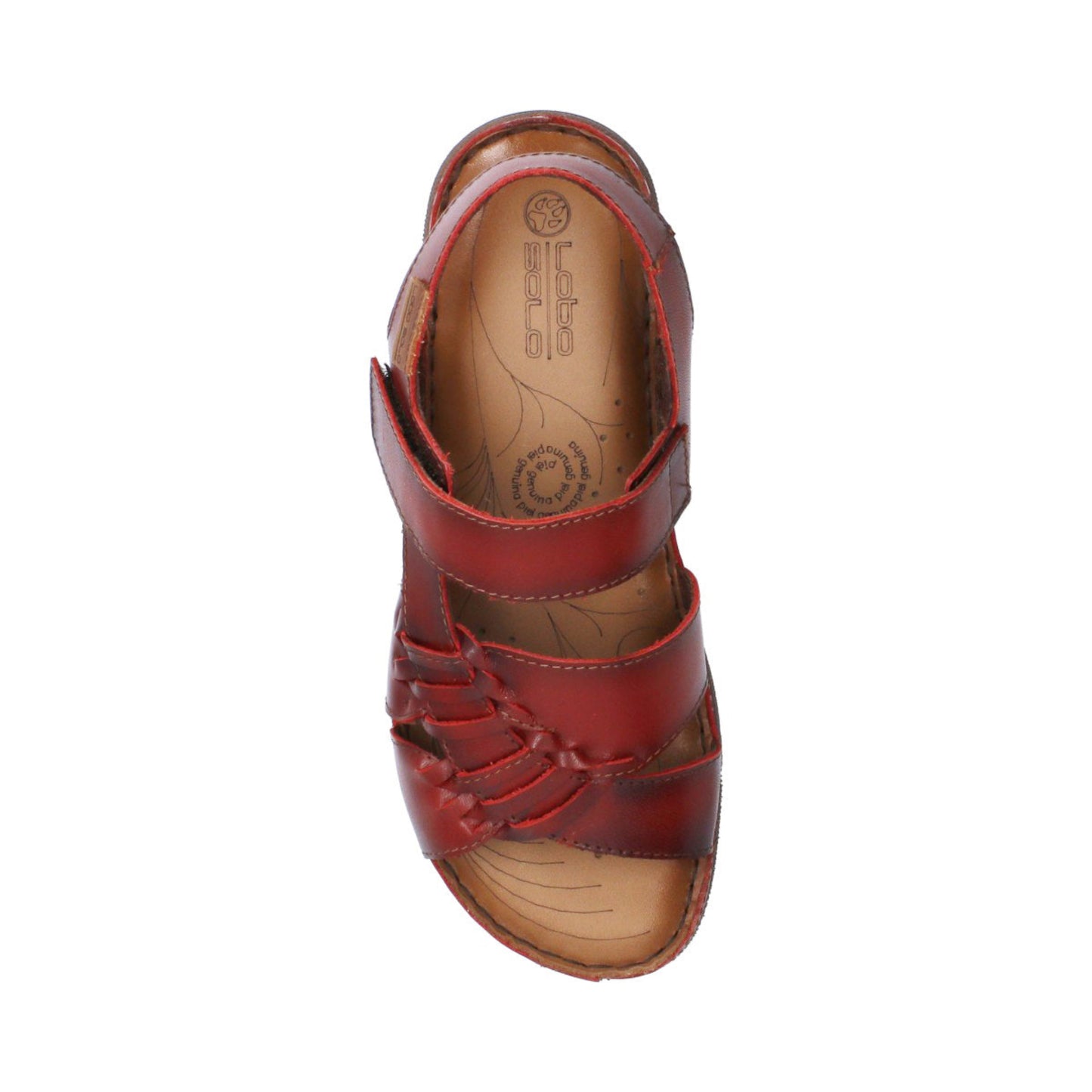 Lobo Solo | 1710 | Zafira Nuvol Red