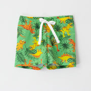 Choys | Kids' Dinosaur Print Swim Trunks | 19A1