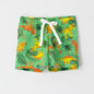 Choys | Kids' Dinosaur Print Swim Trunks | 19A1