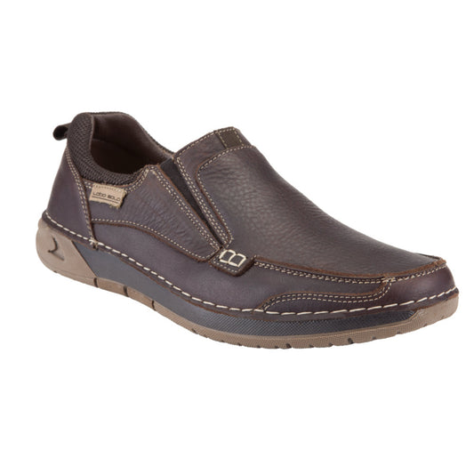 Lobo Solo | 8982 | Toledo Pitbull | Brown