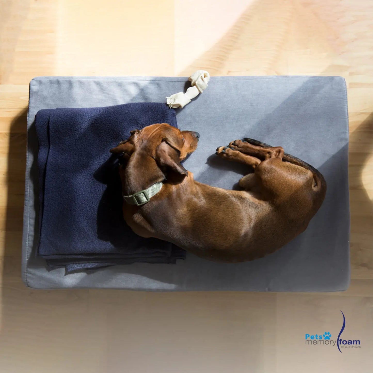 Memory Foam | Pet Mattress