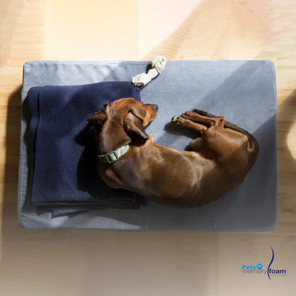Memory Foam | Pet Mattress