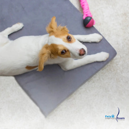 Memory Foam | Pet Mattress