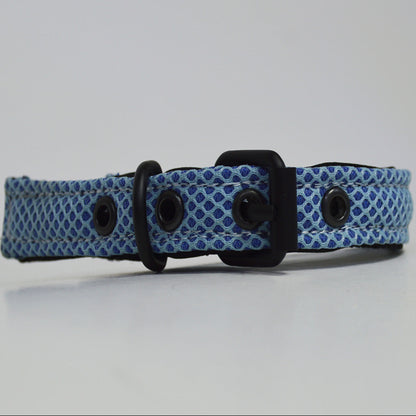 Ibeltmex | Pet Collar Small Size