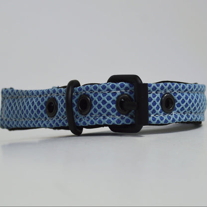 Ibeltmex | Pet Collar Medium Size