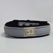 Ibeltmex | Pet Collar Medium Size