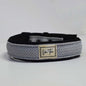 Ibeltmex | Pet Collar Medium Size