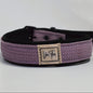 Ibeltmex | Pet Collar Medium Size