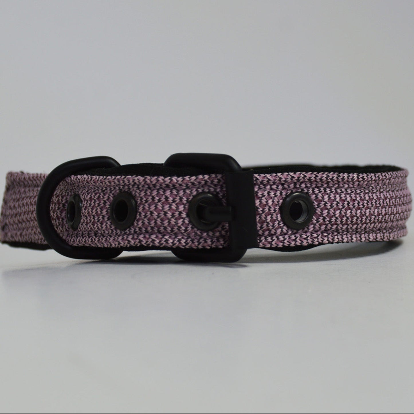 Ibeltmex | Pet Collar Medium Size