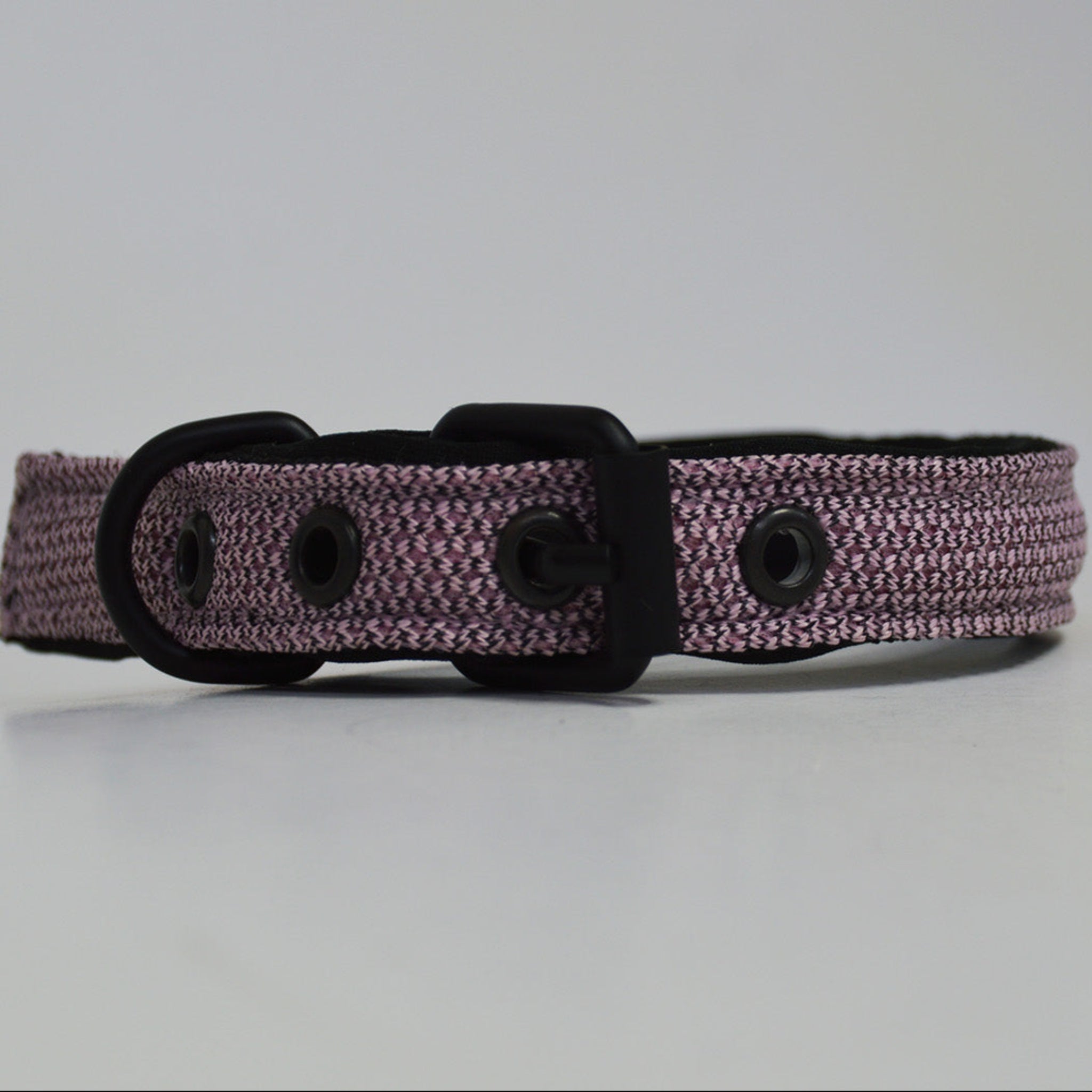 Ibeltmex | Pet Collar Large Size