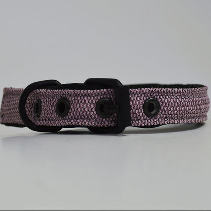 Ibeltmex | Pet Collar Medium Size