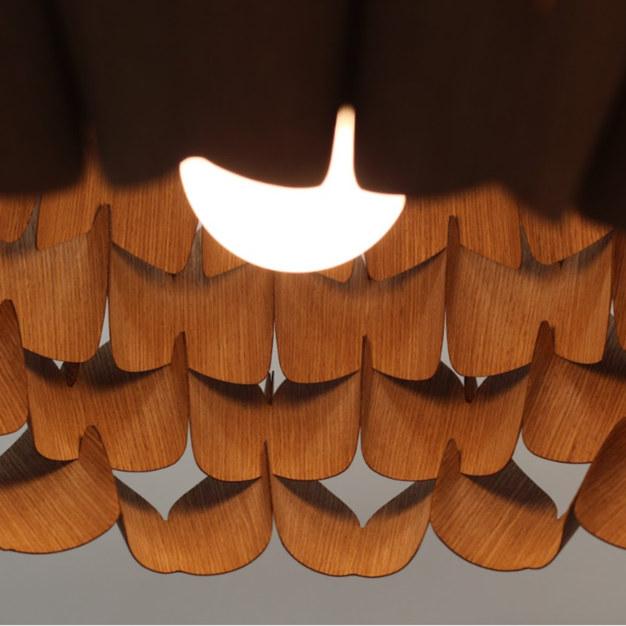 Rafael Weber | Cala Pendant Lamp-LC-CU-06 | Oak