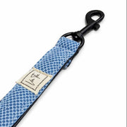 Ibeltmex | Sport Pet Leash
