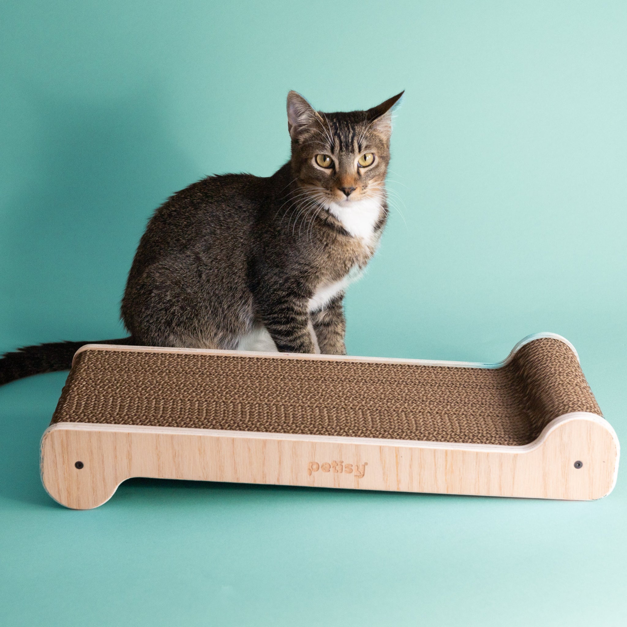Petisy | The Reka Cat Scratcher