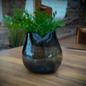 Limoncello | Amelie Smoke Vase | Blown Glass