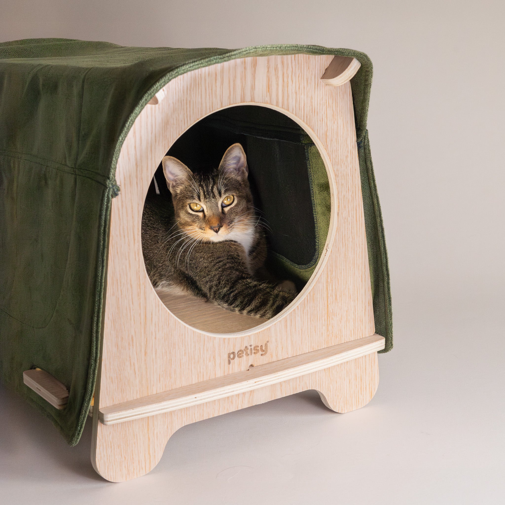 Petisy | The Kado Pet House
