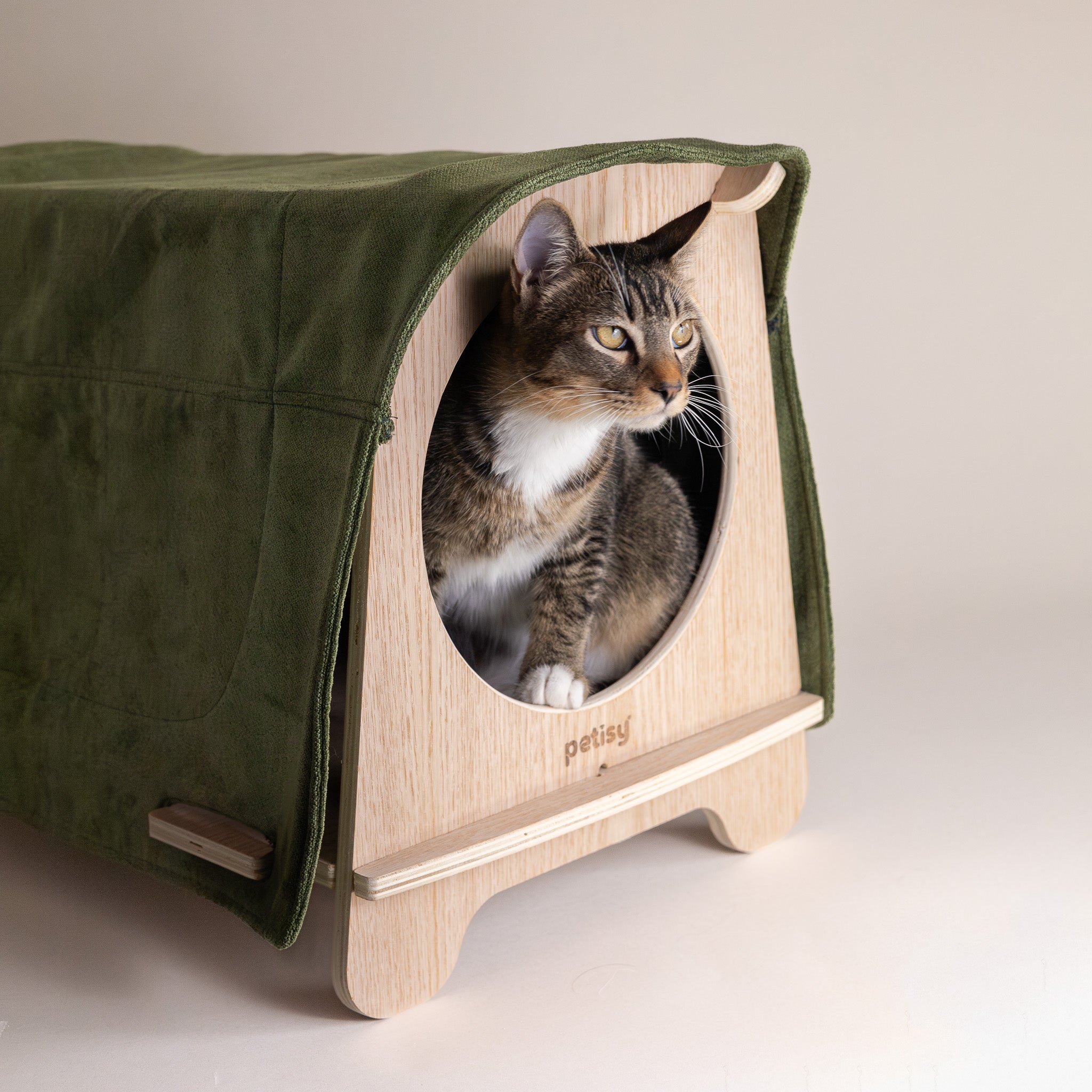 Petisy | The Kado Pet House