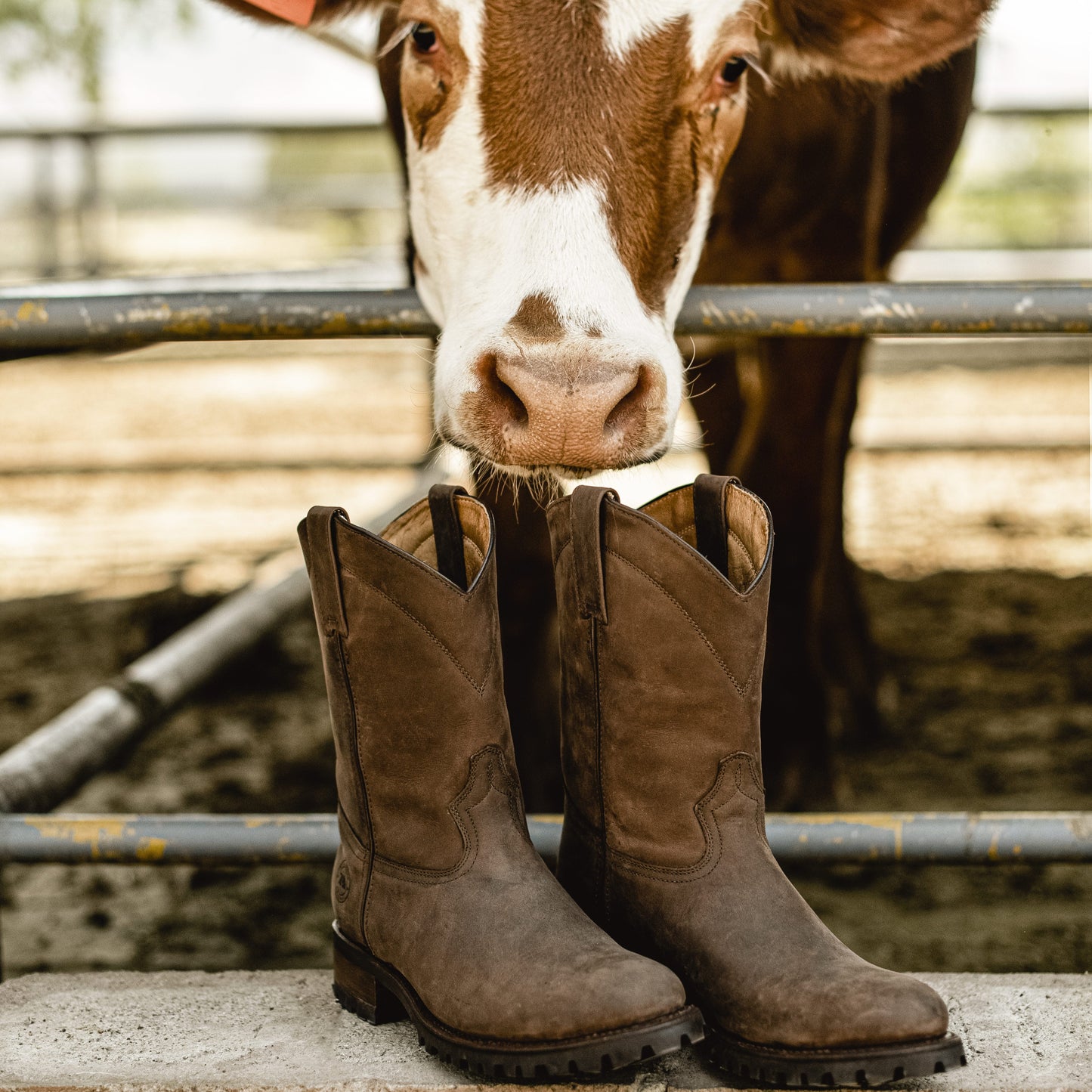 7 Leguas | Men's Leather Roper Boot with Oil Resistant Vibram Sole Brown | 1000-JJ