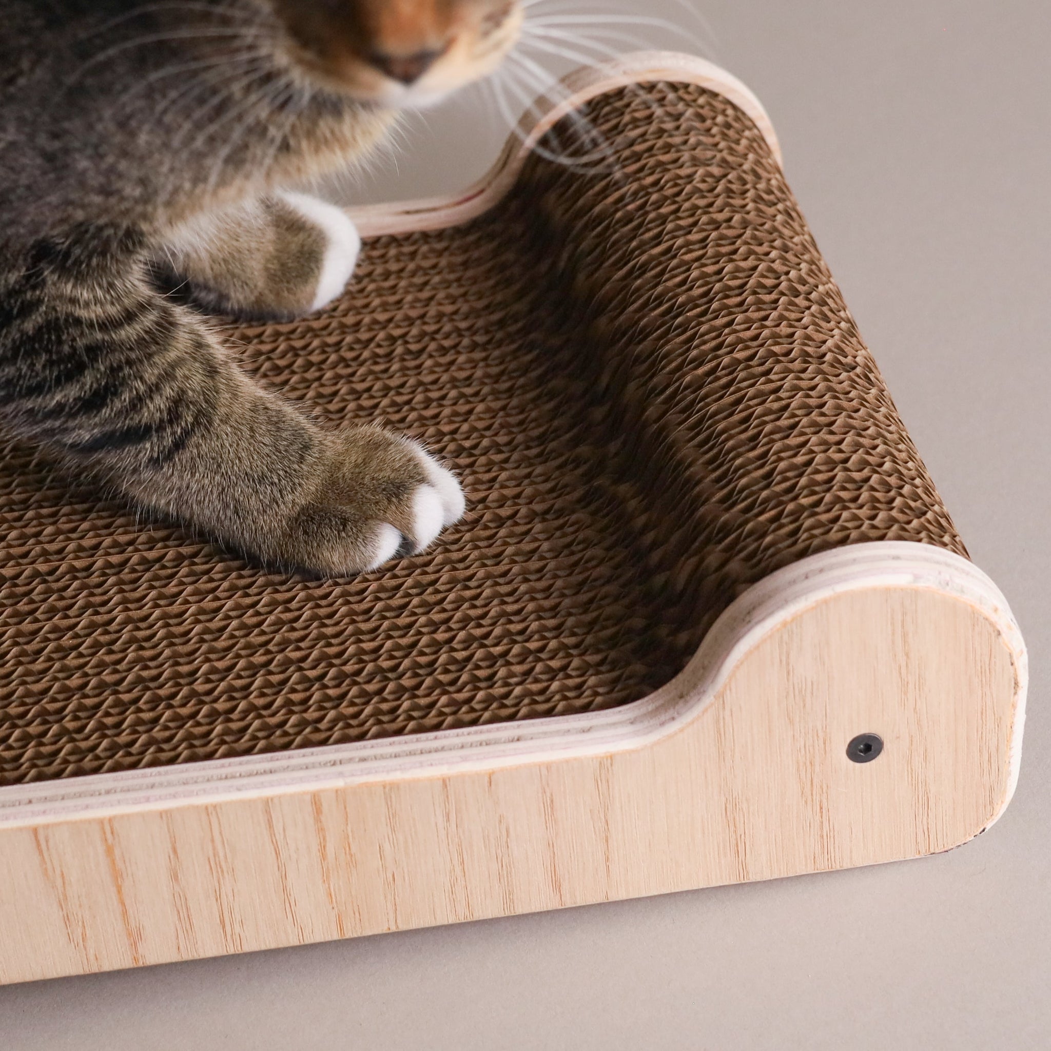 Petisy | The Reka Cat Scratcher
