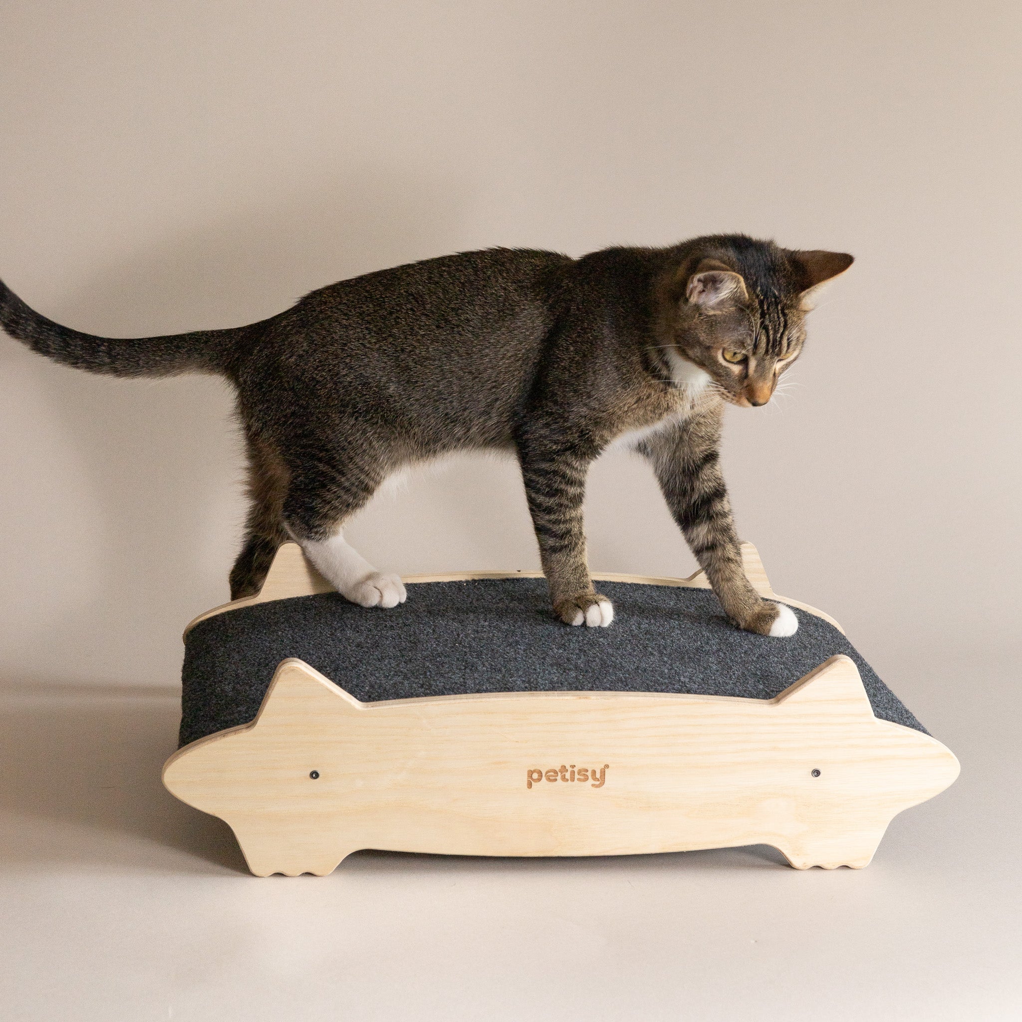 Petisy | The Ovak Cat Scratcher