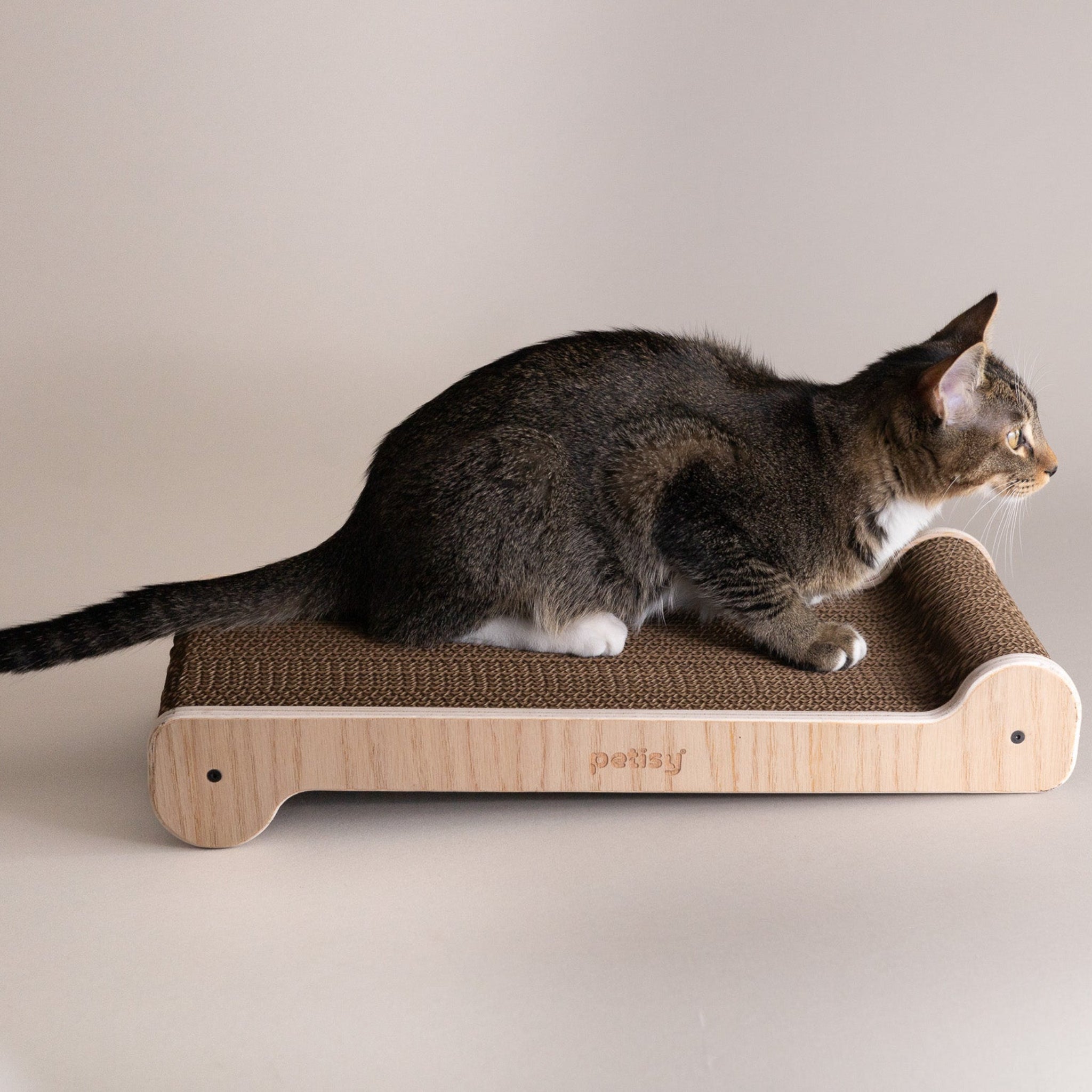 Petisy | The Reka Cat Scratcher
