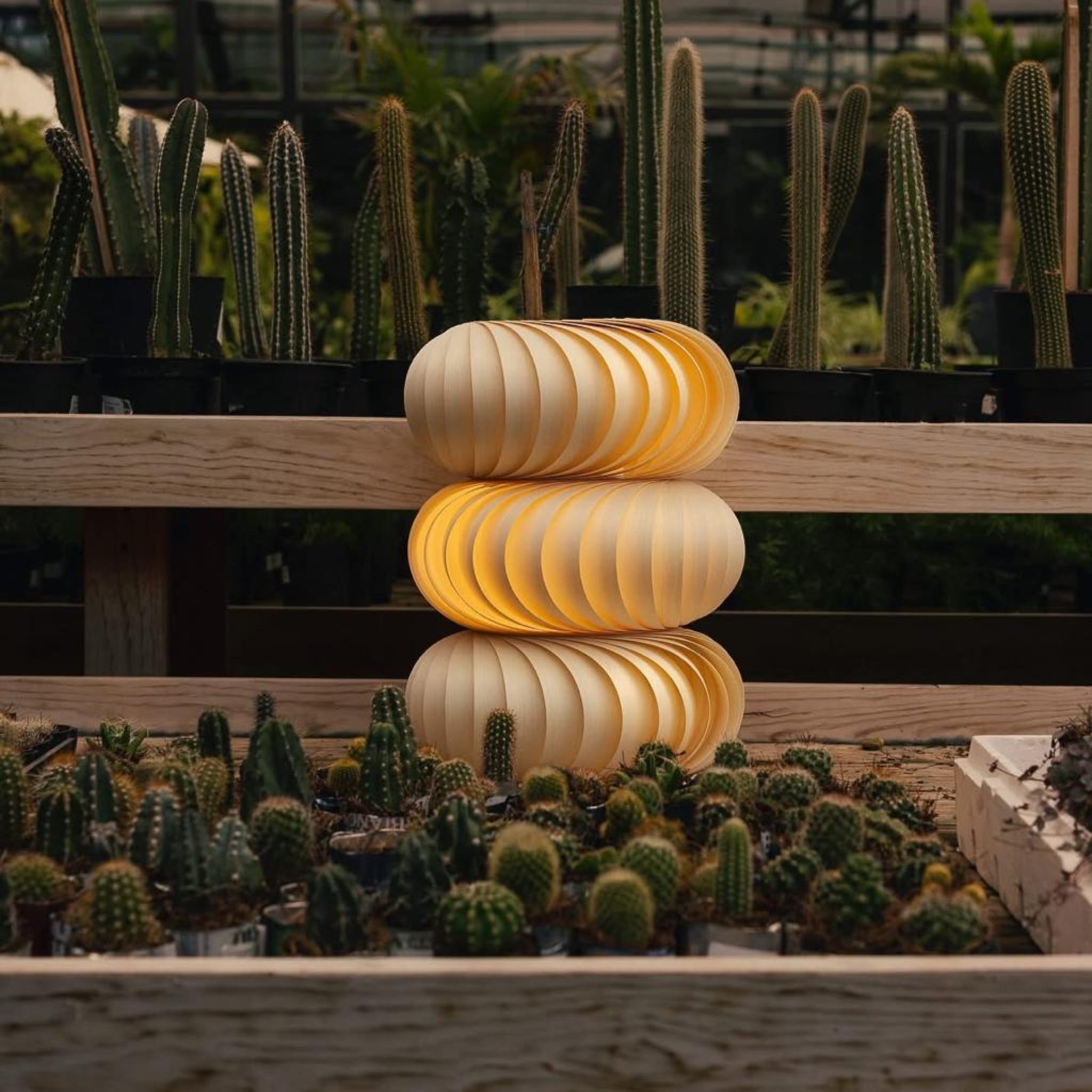 Rafael Weber | Serpentin Desk Lamp-LB-SER-10 | Diritto Ash